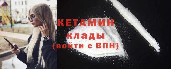 прущие грибы Тихвин
