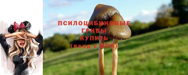 дмт Белоозёрский