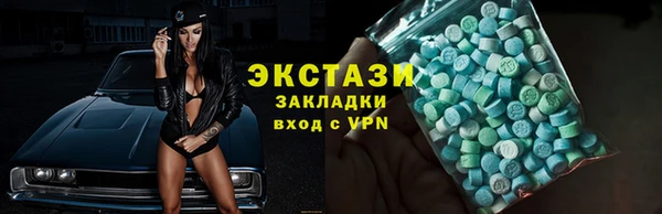 индика Тобольск