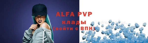 прущие грибы Белокуриха