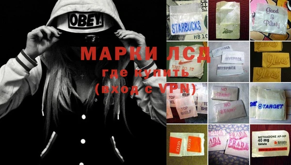 прущие грибы Белокуриха