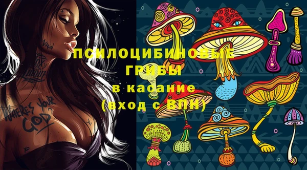 прущие грибы Белокуриха
