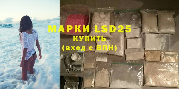 прущие грибы Белокуриха