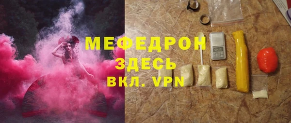индика Тобольск