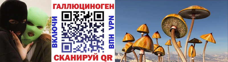 Галлюциногенные грибы MAGIC MUSHROOMS blacksprut ССЫЛКА Будённовск